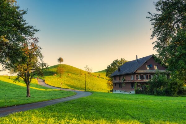 Picturesque scenic of peaceful village like a fairy tale with lonely tree on hill and cows grazing in the morning at Hirzel, Switzerland